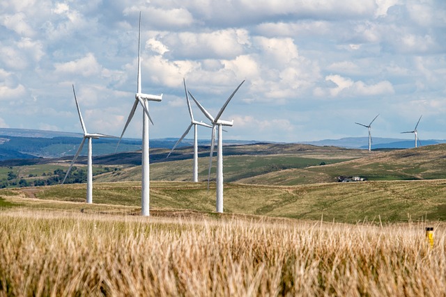 Il Dl energia è legge: novità per fonti rinnovabili, energy releases e rigassificatori