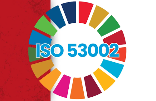 Le Linee Guida ISO/UNDP PAS 53002: strumento per integrare gli SDG dell’ONU nei Sistemi di gestione