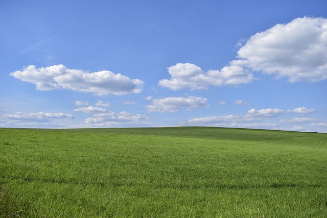 Tassonomia Ue, i criteri per valutare la attività sostenibili