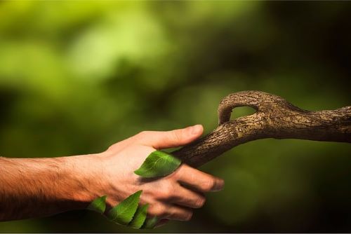 Sostenibilità, Istat: azioni green in oltre 6 aziende su 10